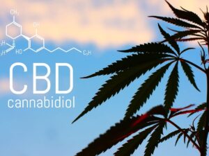 CBD Oil Products