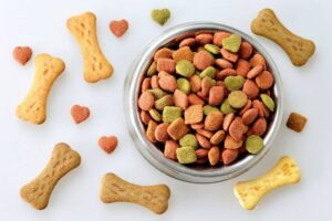 best dry food for dogs
